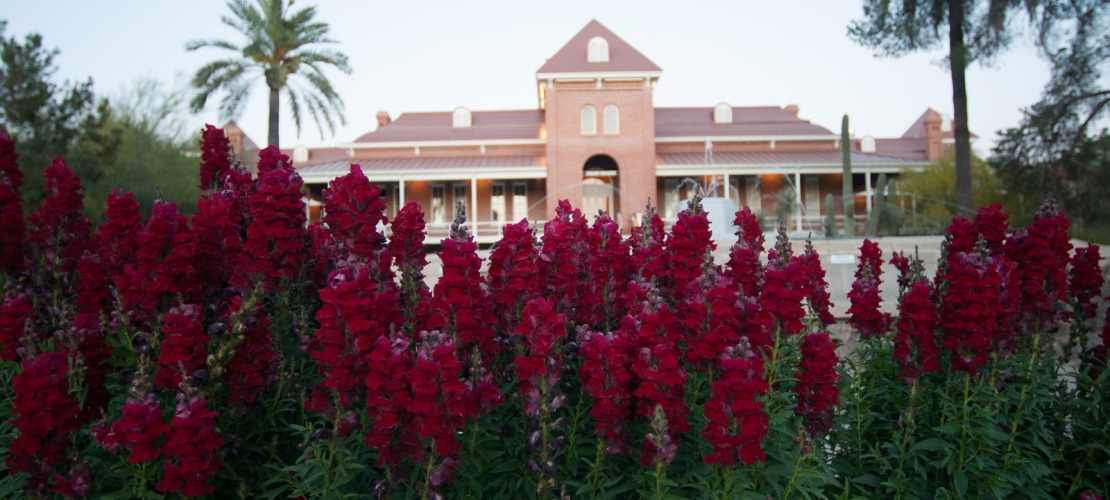 Red flowers in front of Old Main