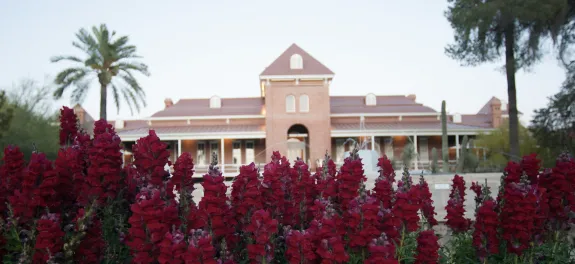 Red flowers in front of Old Main